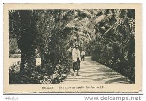BISKRA  Une allée du Jardin Landon LL