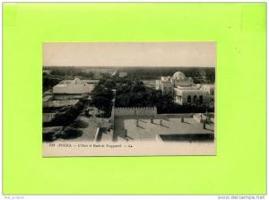 Afrique - Algérie - Biskra - oasis et route de Touggourth