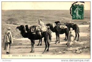 3 biskra - halte au Col de Sfa