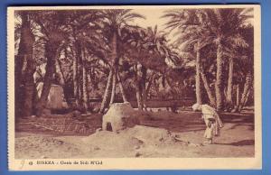 BISKRA - Algérie  Oasis de Sidi M´Cid - Personne - Palmiers