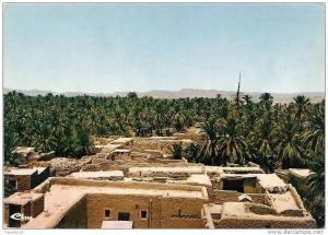 DZ - Biskra - Oasis - Vue des Palmiers - CPM éd. Cim / excl. des Ets Bakhti n° A Ci. 4 (non circulée)