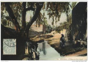 Algérie - Biskra L'Oasis de Nab Darb LL n 19 Voyagée 1906  (2000)