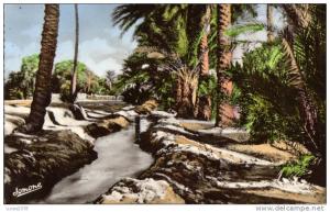 BISKRA / UNE SEGHIA DANS LA PALMERAIE / EDIT JOMONE 68