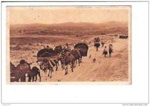 BISKRA  -  Caravane  au  Col  de  Sfa