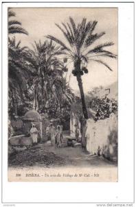 190    BISKRA.  -   Un  coin  du  Village  de  Mr  Cid.   -  ND