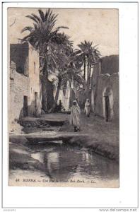 48    BISKRA.  -   Une  Rue  de  l´ Oasis  Bab-Dark.      -   LL.