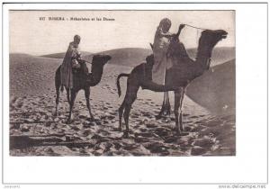 1117   BISKRA   -  Méharistes  et  les  Dunes