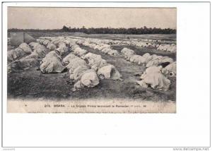 215.   BISKRA   -  La  Grande  Prière  terminant  le  Ramadan  (4e  pose).   ND