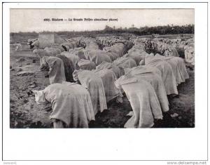 1007.   BISKRA   -  La  Grande  Prière  (deuxieme  phase)