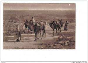 8   SCENES  ALGERIENNES.  -   Biskra.  -  Une  Caravane  au  Col  de  Sfa.    -  LL.