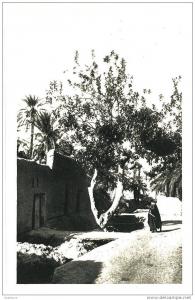 CPA dans le vieux Biskra