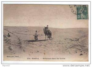 Algérie, Biskra, Méhariste dans les dunes, carte de 1911
