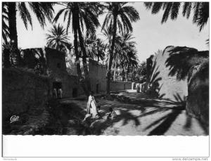 CPA 1957 BISKRA ALGERIE - Un coin de Gadécha