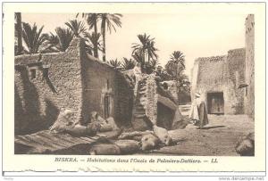 Algérie - Biskra - Habitations dans l´Oasis de Palmiers-Dattiers - 1940