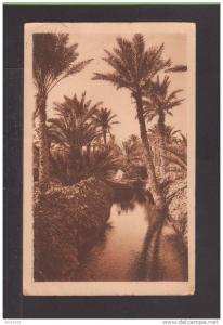 Biskra (GA144)  Une Seguia dans I´Oasis - 1924 -
