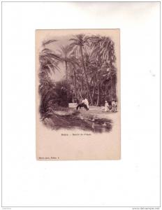 BISKRA      ENTREE DE L OASIS