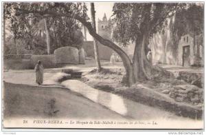 VIEUX-BISKRA - La Mosquée de Sidi-Maleck à travers les arbres