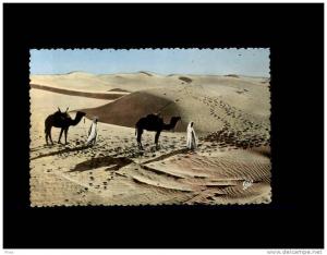 713 BISKRA - Dunes de Sable - desert - sahara