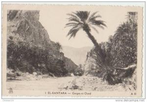 EL-KANTARA - Gorges et Oued -