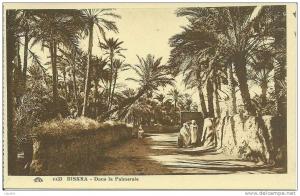 BISKRA  -  Dans la Palmeraie.