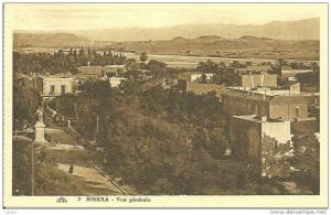 BISKRA  -  Vue générale.