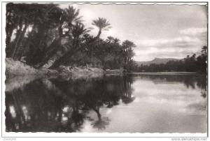 7477 ..colomb bechar..vue de l,oued