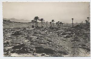 COLOMB BECHAR  Désert à Cent Pas