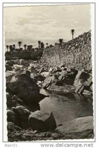 1 cpsm colomb béchar