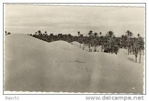 1 cpsm colomb béchar