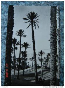 CPA - COLOMB-BECHAR - VUE SUR LES DUNES  - A1