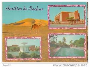 souvenir de bechar-amitiés de bechar-cpm