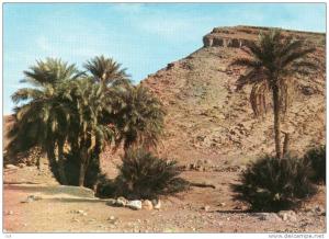 Afrique -ALGERIE - BECHAR-Saoura , le Djebel-Béchar *PRIX FIXE