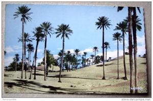 Algérie CP N° 659B - Colomb Béchar, Les Dunes - CPSM/E