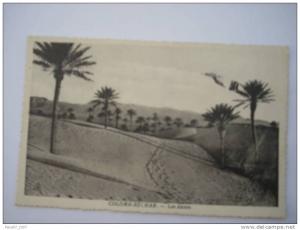 ALGERIE   834  COLOMD BECHAR