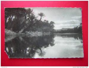 CPSM-ALGERIE-COLOMB-BECHA R -VUE DE L'OUED