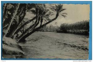 19 Colomb Bechar l Oued Béchar Ecrite