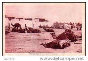 Colomb Béchar  la place des chameaux