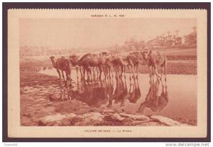 COLOMB-BECHAR - La rivière