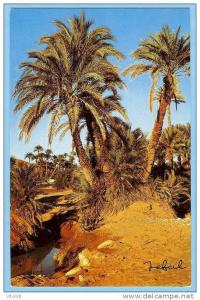 CARTE POSTALE 4054 BECHAR L'OASIS . EDITIIONS JEFAL 15 BOULEVARD MOHAMMED KHEMISTI ALGER