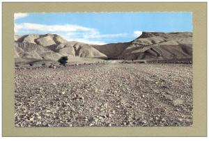 ALGERIE BECHAR PISTE DE DJENIEN AU FOND LE DJEBEL BECHAR