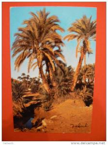 BECHAR    L'OASIS   n°4054