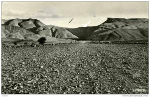 COLOMB-BECHAR /PISTE DJENIEN ,DJEBEL BECHAR/