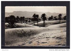 ALGERIE Colomb Béchar Dunes de Sable, Djebel Béchar, ed Argence 13, CPSM 9x14, 1957