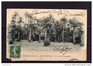 ALGERIE Colomb Béchar Palmeraie, ed Geiser *, Extrème Sud Oranais, 190? *** ETAT ***