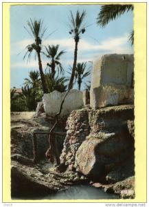 19 Colomb Bechar Ougda puits Ecrite