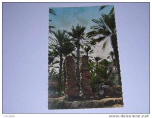 (342) - 1 - carte postale sur colomb bechar un puits