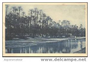 COLOMB BECHAR - LA RIVIERE CPA NEUVE NON ECRITE RARE PALMIERS - ALGERIE UNCIRCULATED 1935