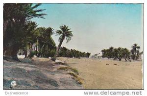 COLOMB BECHAR L OUED   REF10179