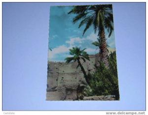 (342) - 1 - carte postale sur colomb bechar ougda vue sur le village