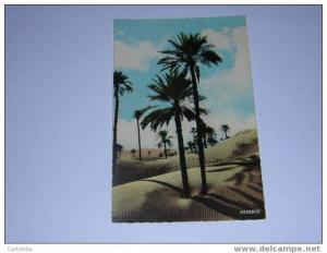 (342) - 1 - carte postale sur colomb bechar les dunes